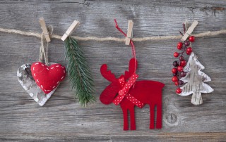 Promotoras para la campaña de Navidad