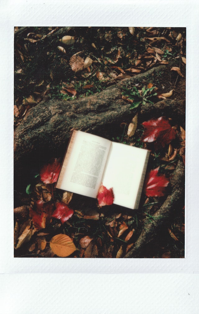 Libros para regalar en San Valentín para vender más